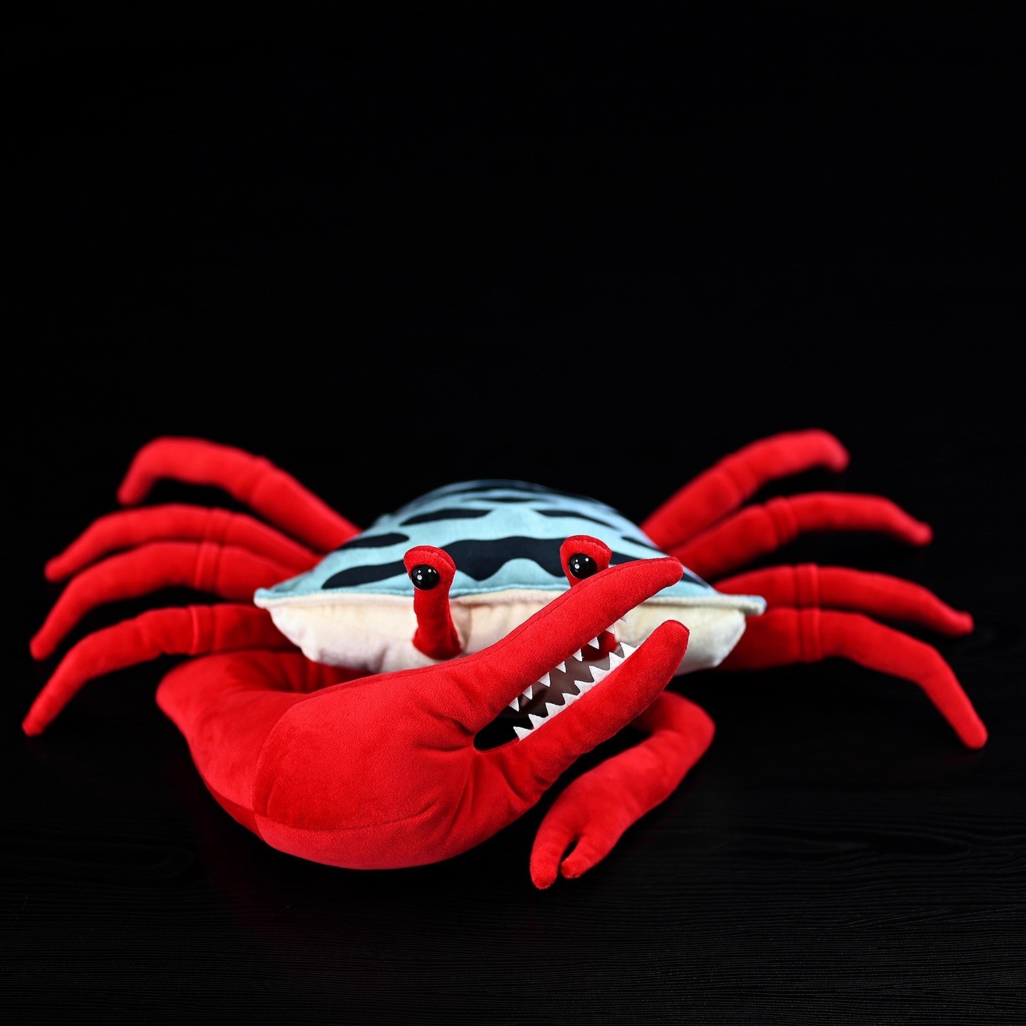 Aquarium Marine Park - Red Claw Fiddler Crab Sea Beach