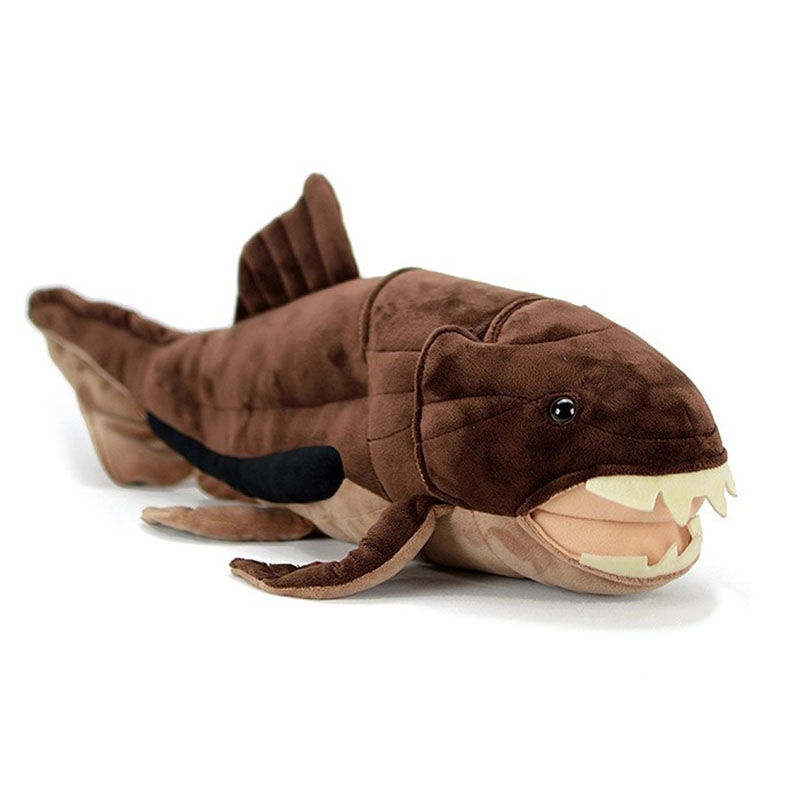 Aquarium Marine Park - Dunkleosteus terrelli Dunkle Fish Sea Ocean
