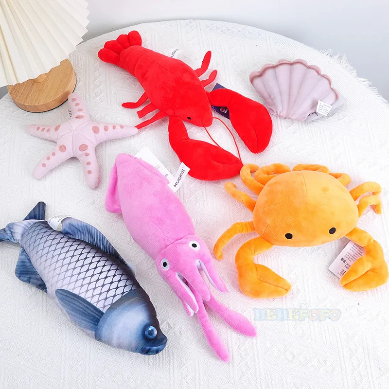 Aquarium Marine Park - Lobster Squid Crab Starfish Scallop Carp