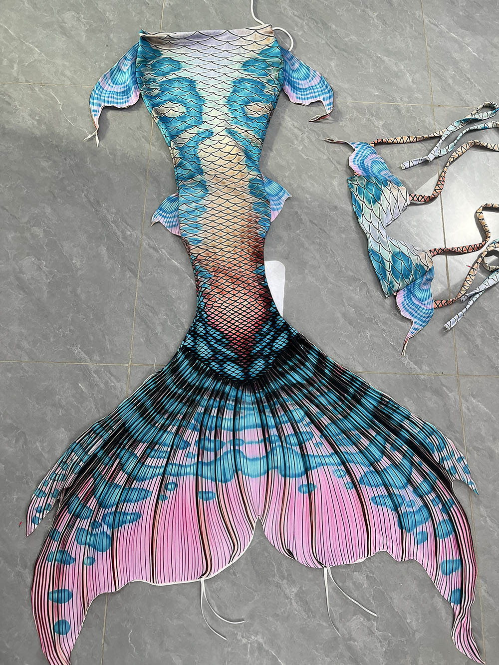 Colorful Dreamy Mermaid Tail A - огляд і ціна Aquarium & Marine Museum Universiti Malaysia Sabah Kota Kinabalu Sabah Photos