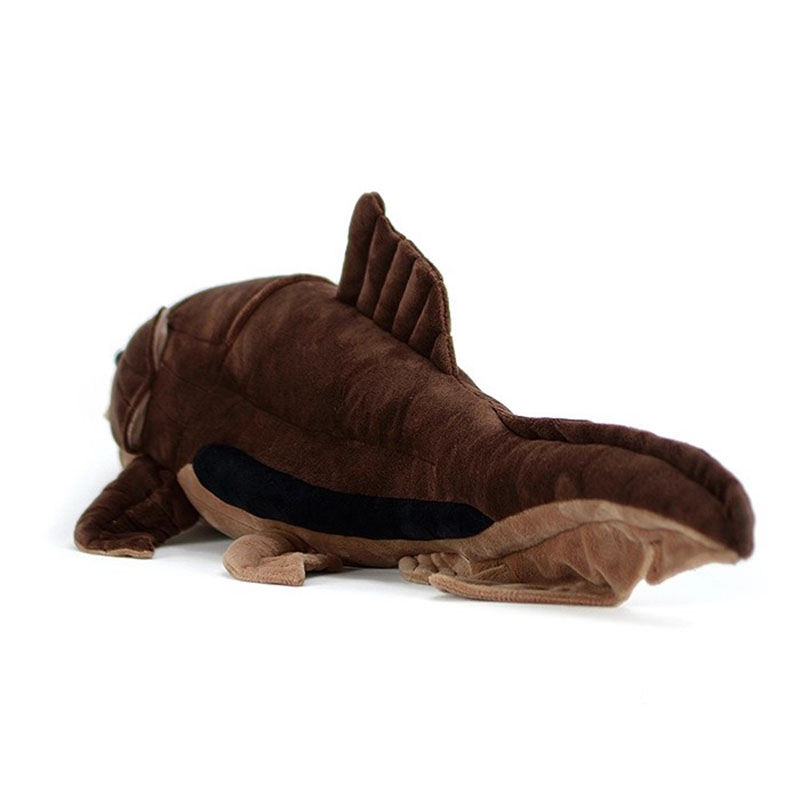 Dunkleosteus terrelli Dunkle F - огляд і ціна Aquarium Marine Park