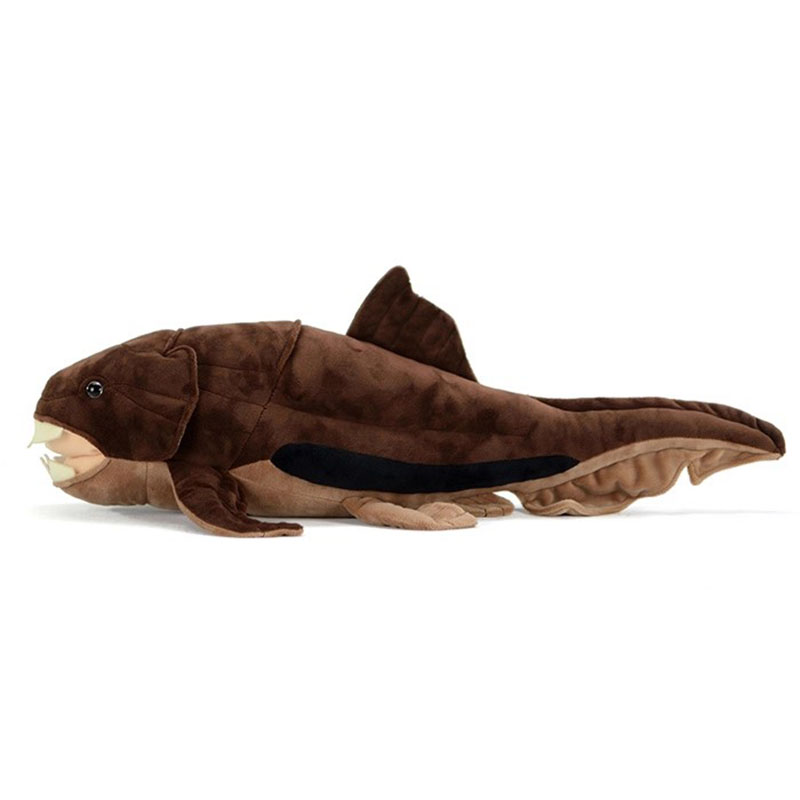 Dunkleosteus terrelli Dunkle F - огляд і ціна Aquarium Marine Park