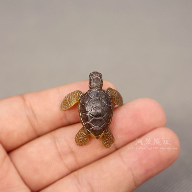 Marine Life Sea Turtle Model O - огляд і ціна Marine Aquarium Japan