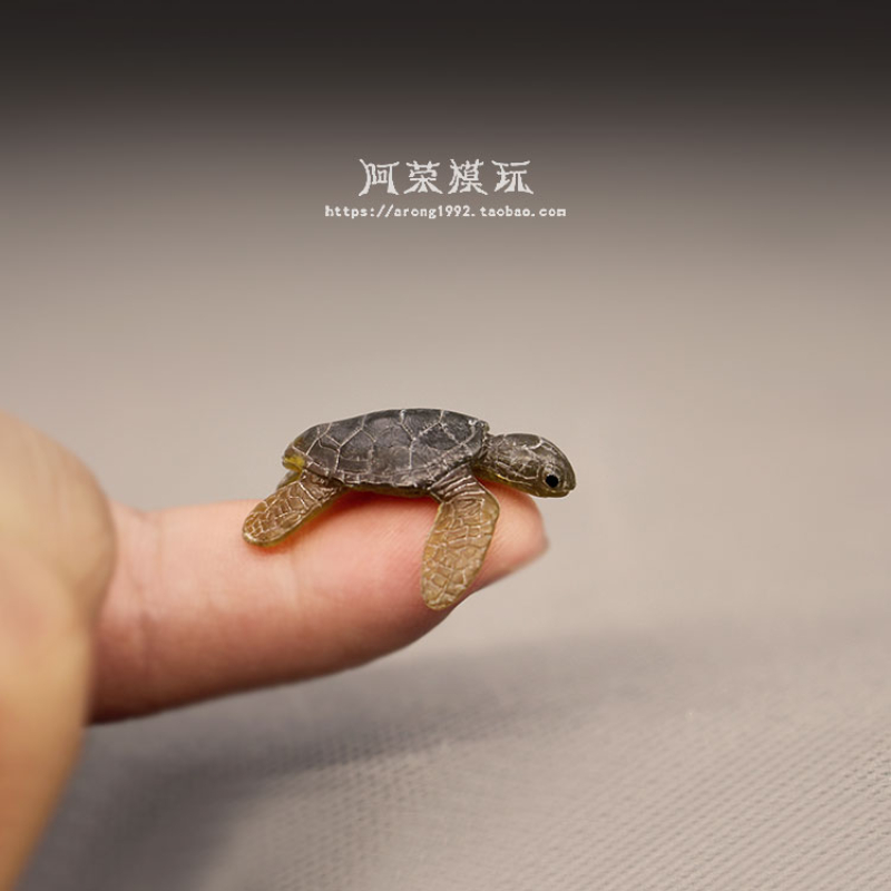 Marine Life Sea Turtle Model O - огляд і ціна Marine Aquarium Japan