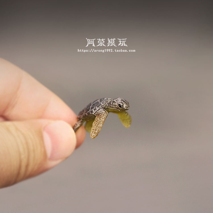 Marine Life Sea Turtle Model O - огляд і ціна Marine Aquarium Japan